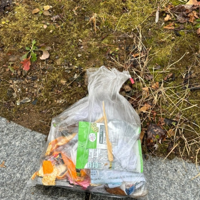  하동군.동네.쓰레기.플로깅