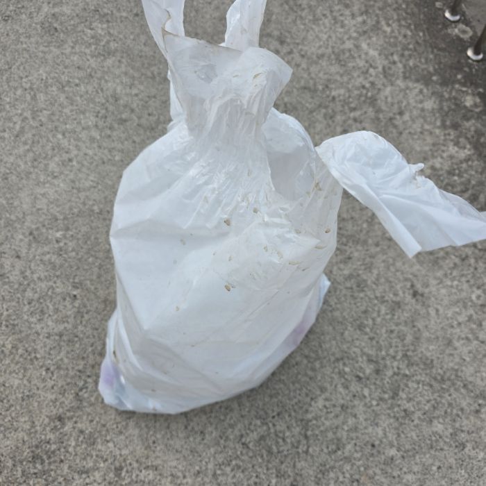  거제시.동네.쓰레기.플로깅