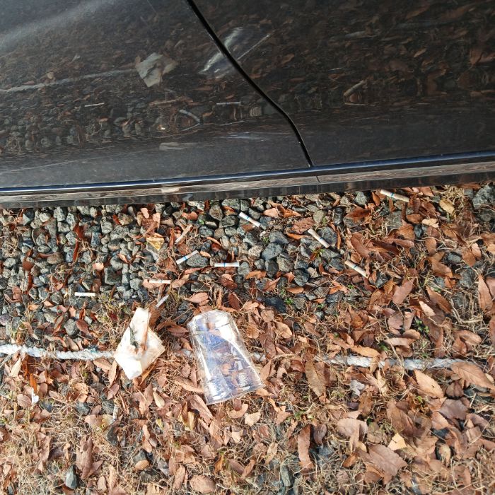  광양시.동네.쓰레기.플로깅