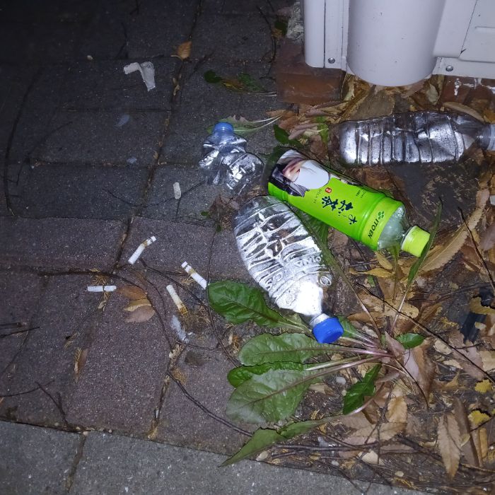  광양시.동네.쓰레기.플로깅