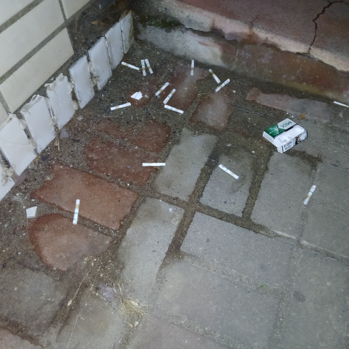  광양시.동네.쓰레기.플로깅