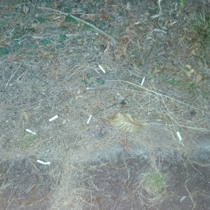  광양시.동네.쓰레기.플로깅