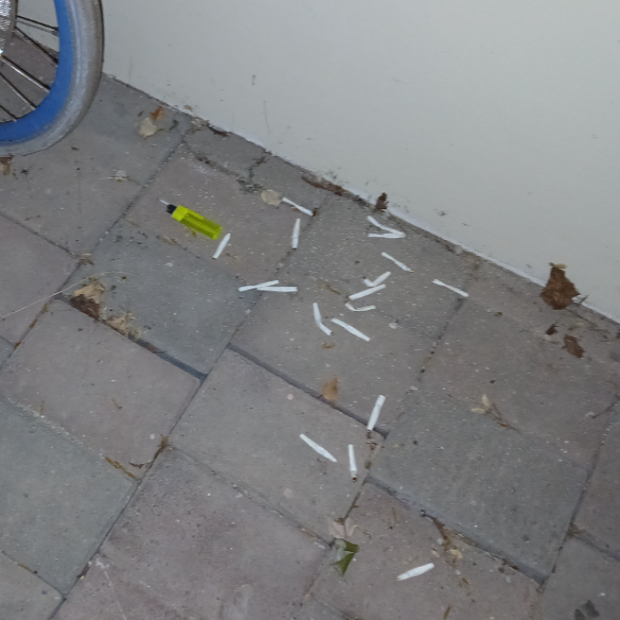  광양시.동네.쓰레기.플로깅