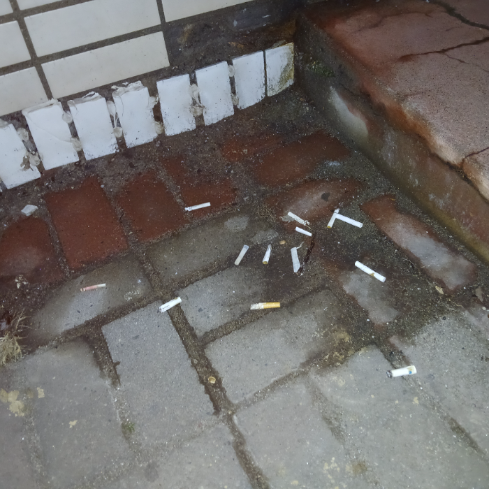  광양시.동네.쓰레기.플로깅