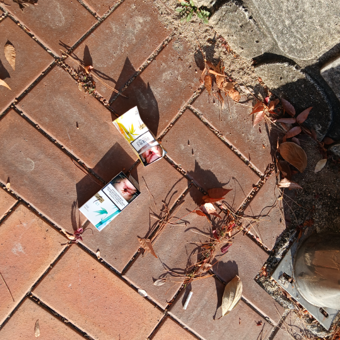  광양시.동네.쓰레기.플로깅