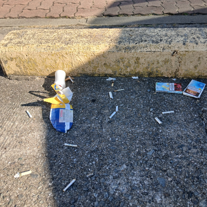  광양시.동네.쓰레기.플로깅