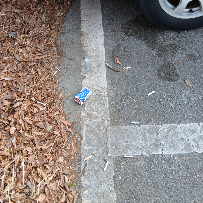  광양시.동네.쓰레기.플로깅