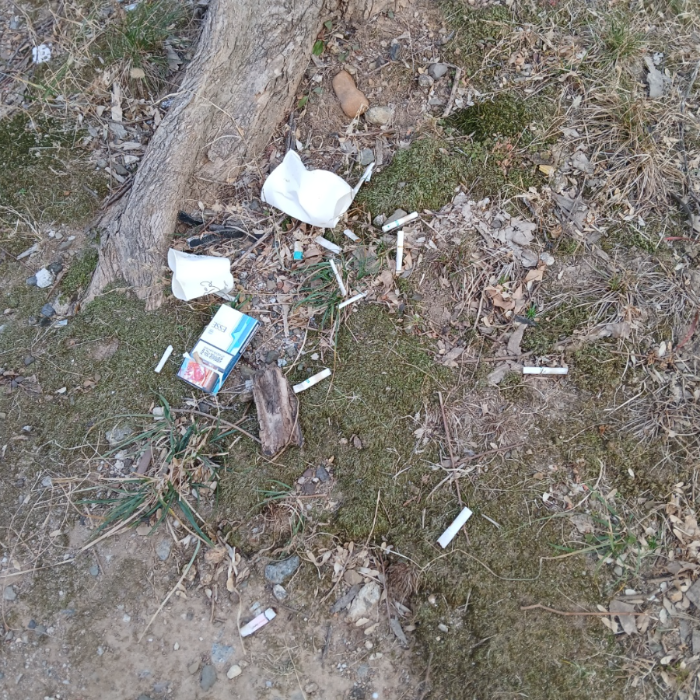  광양시.동네.쓰레기.플로깅