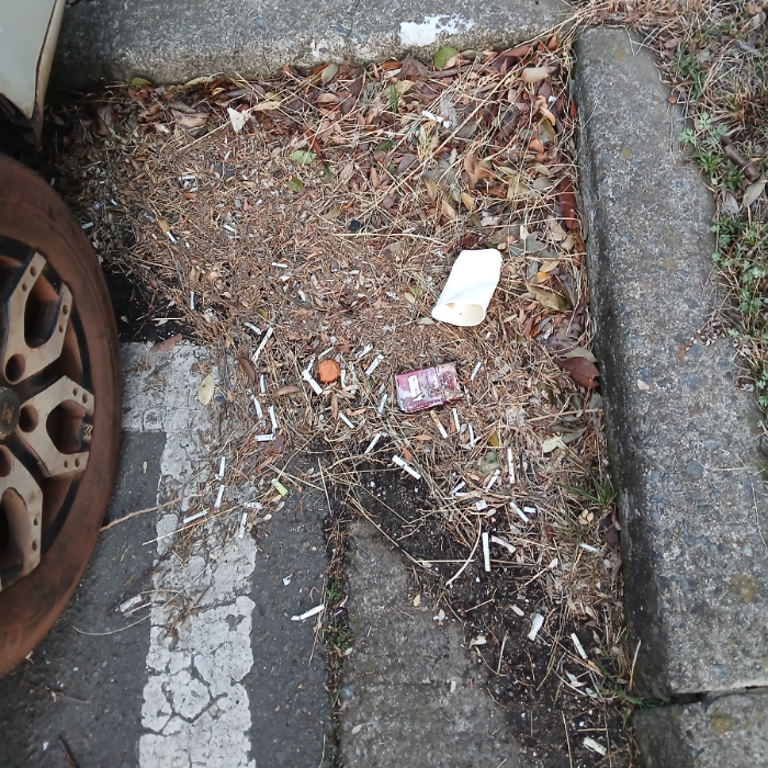  광양시.동네.쓰레기.플로깅