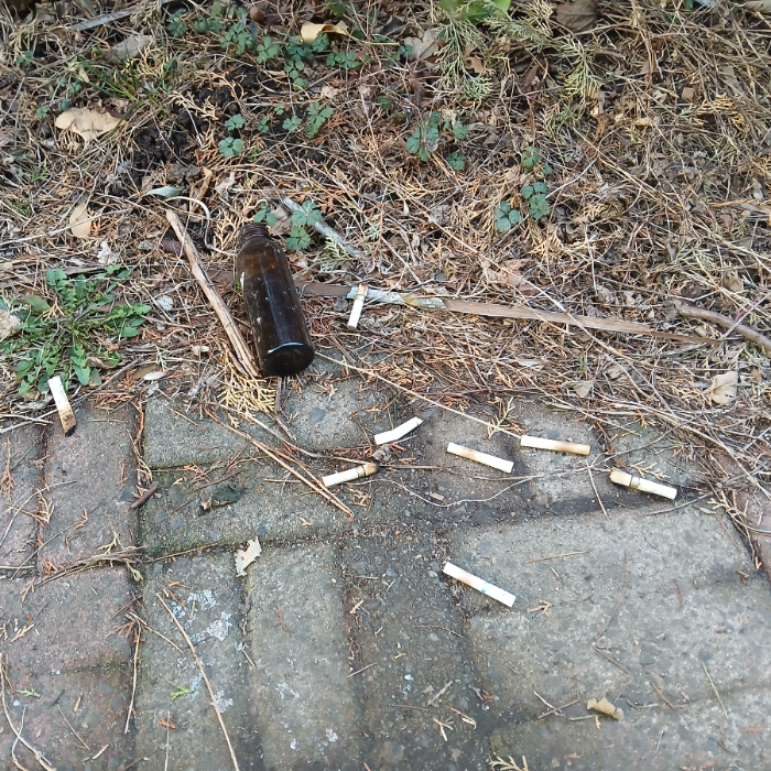  광양시.동네.쓰레기.플로깅