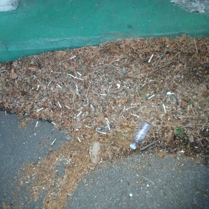  광양시.동네.쓰레기.플로깅