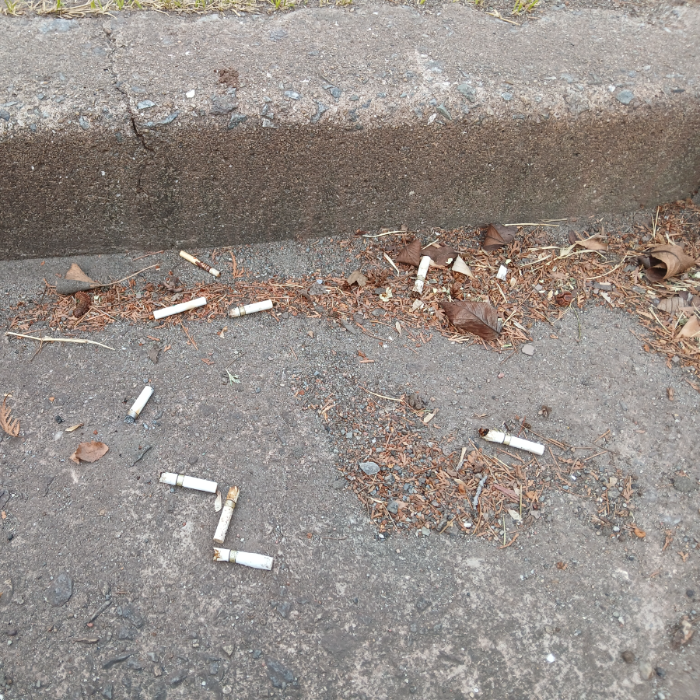  광양시.동네.쓰레기.플로깅