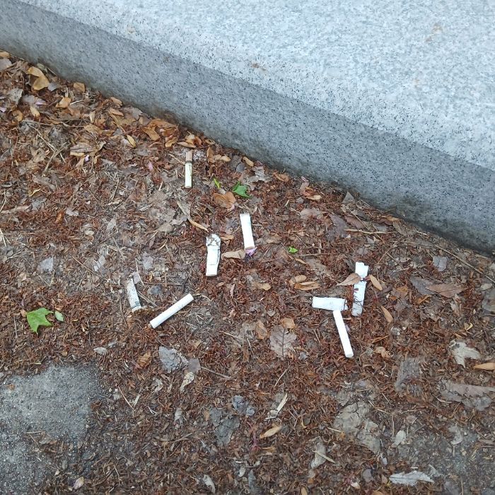  광양시.동네.쓰레기.플로깅