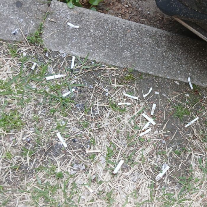  광양시.동네.쓰레기.플로깅