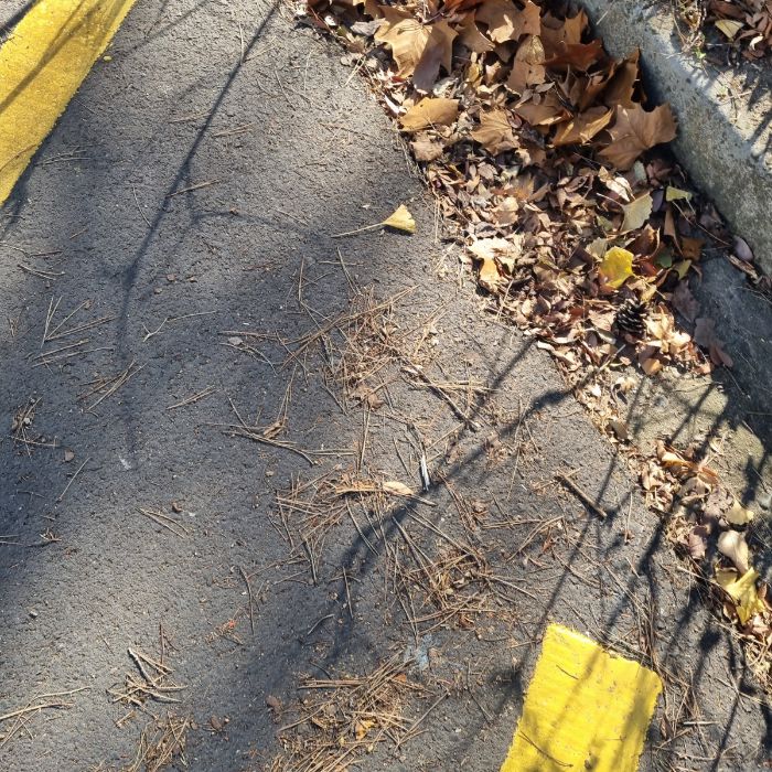  창원시.동네.쓰레기.플로깅