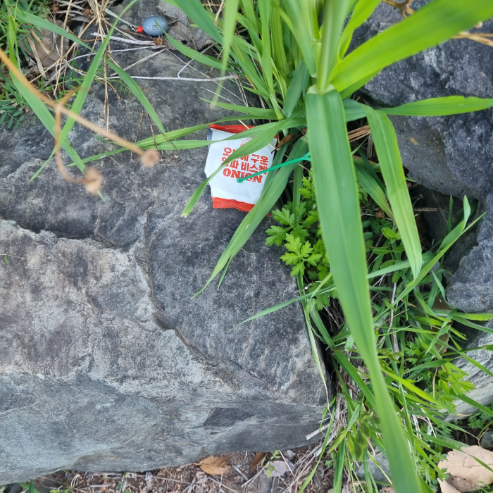  거제시.동네.쓰레기.플로깅