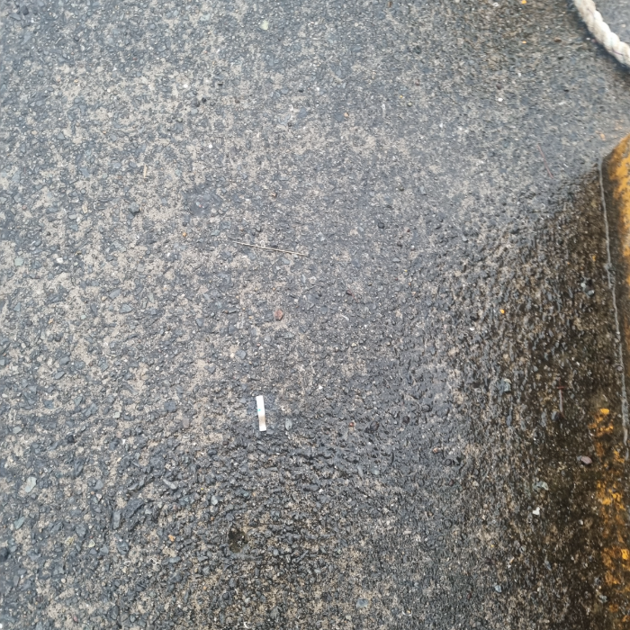  거제시.동네.쓰레기.플로깅