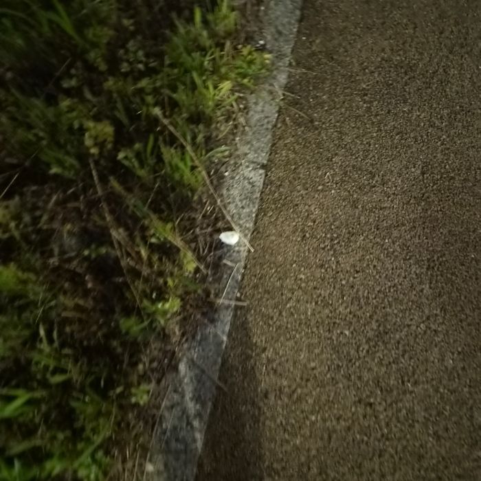  창원시.동네.쓰레기.플로깅