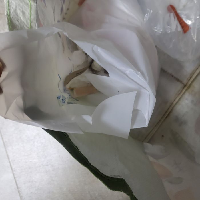  고양시.동네.쓰레기.플로깅