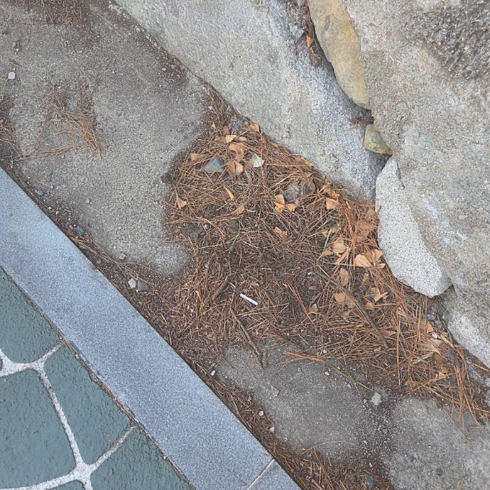  창원시.동네.쓰레기.플로깅