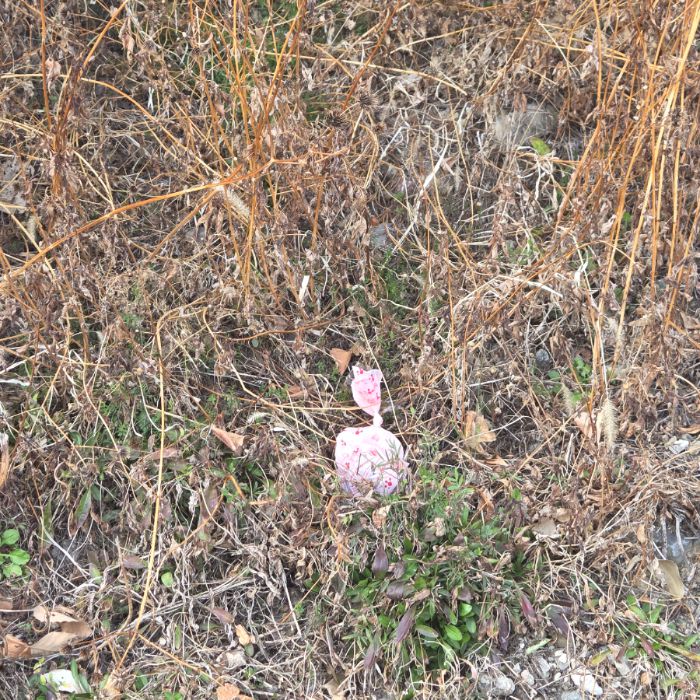  창원시.동네.쓰레기.플로깅