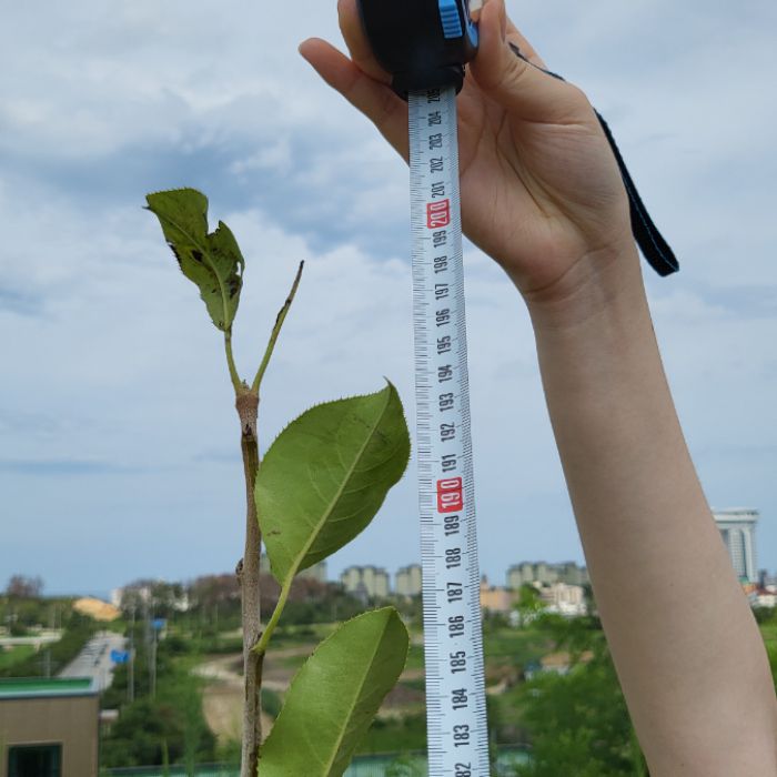  강릉시.동네.쓰레기.플로깅