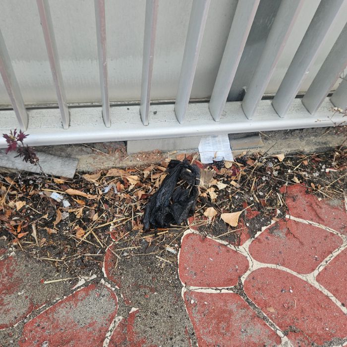  칠곡군.동네.쓰레기.플로깅