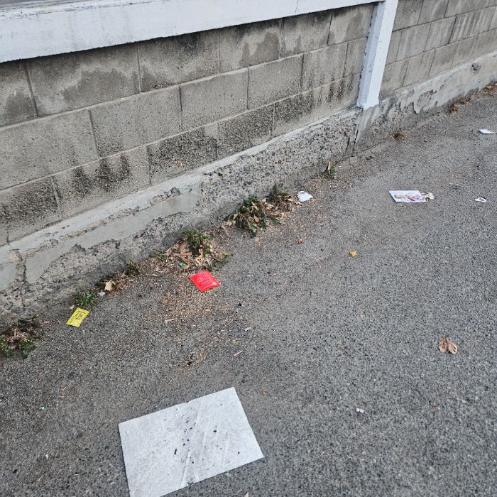  칠곡군.동네.쓰레기.플로깅