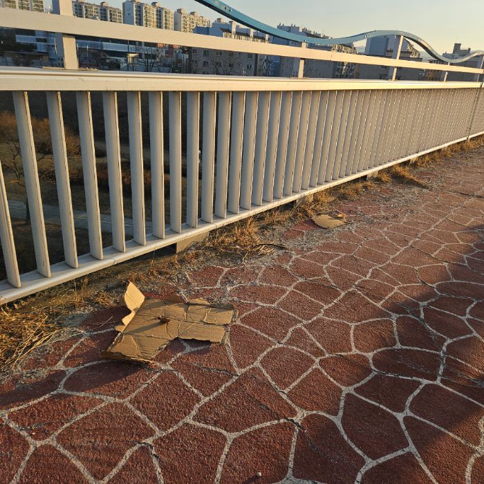  칠곡군.동네.쓰레기.플로깅