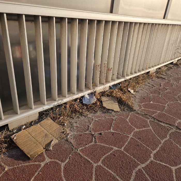  칠곡군.동네.쓰레기.플로깅