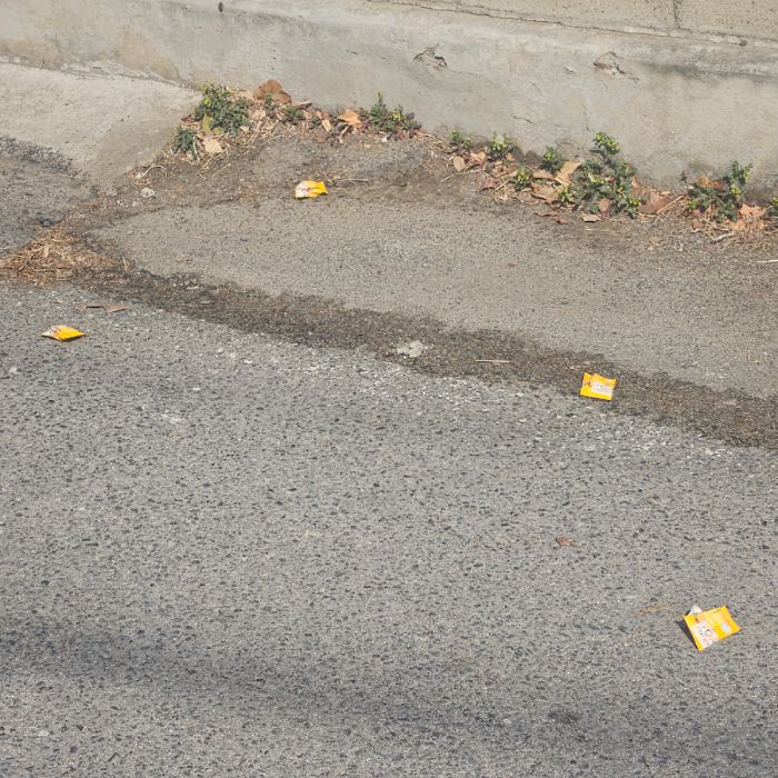  칠곡군.동네.쓰레기.플로깅