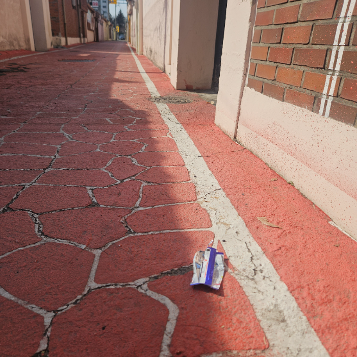  칠곡군.동네.쓰레기.플로깅