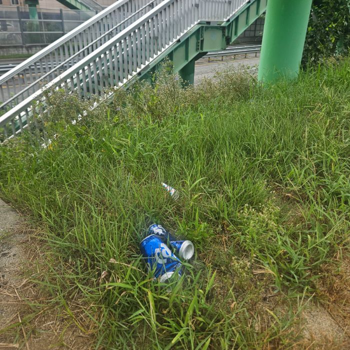 칠곡군.동네.쓰레기.플로깅