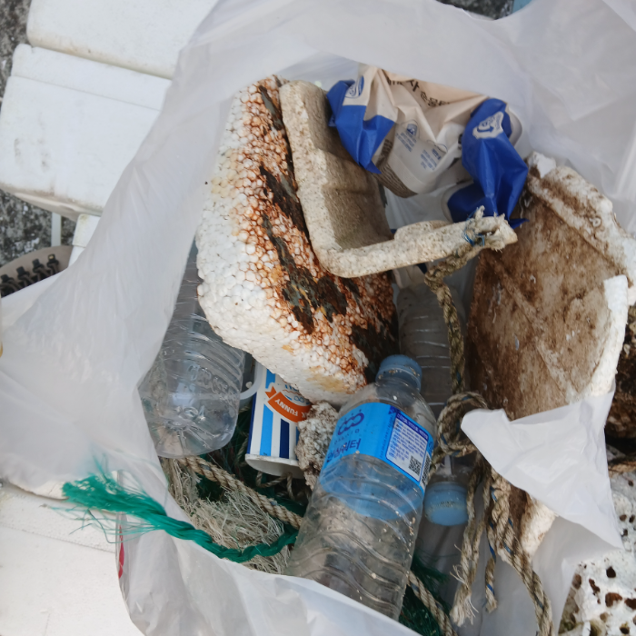  통영시.동네.쓰레기.플로깅