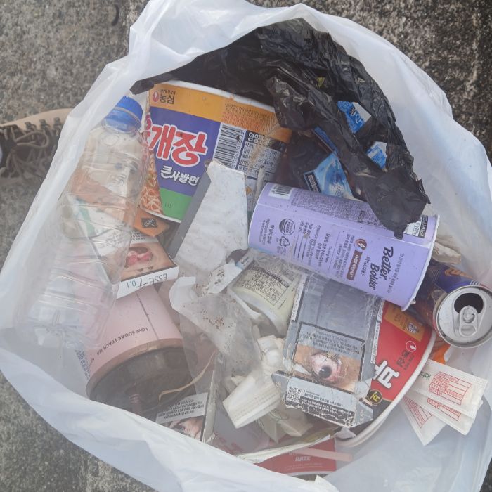  고성군.동네.쓰레기.플로깅