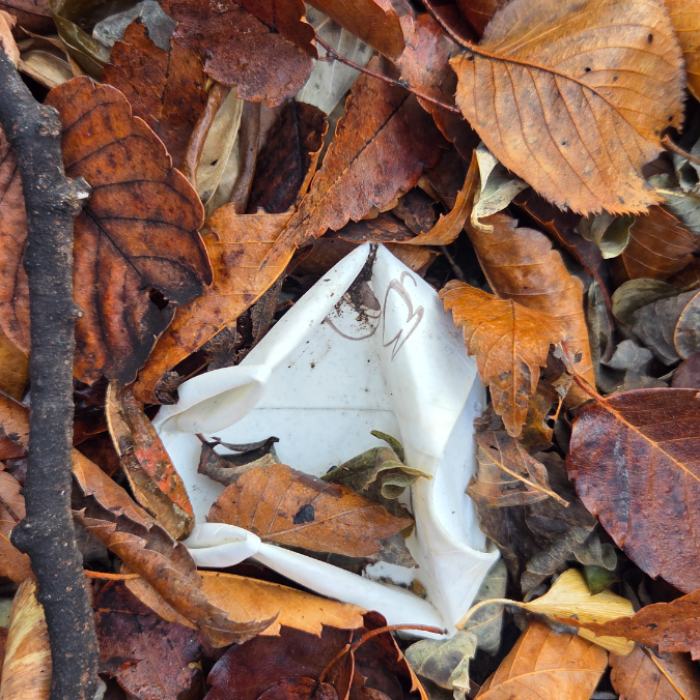  용인시.동네.쓰레기.플로깅
