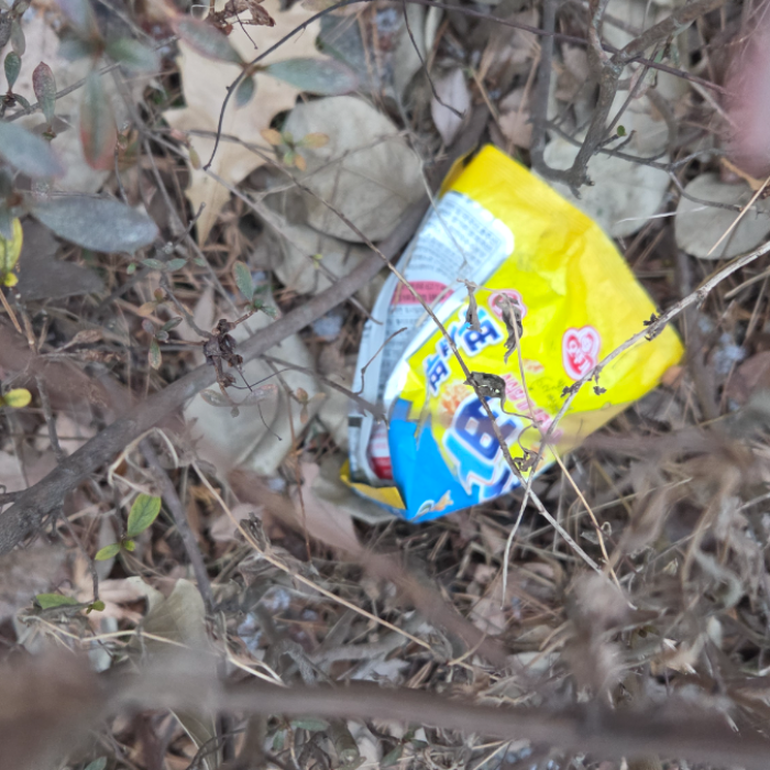  용인시.동네.쓰레기.플로깅