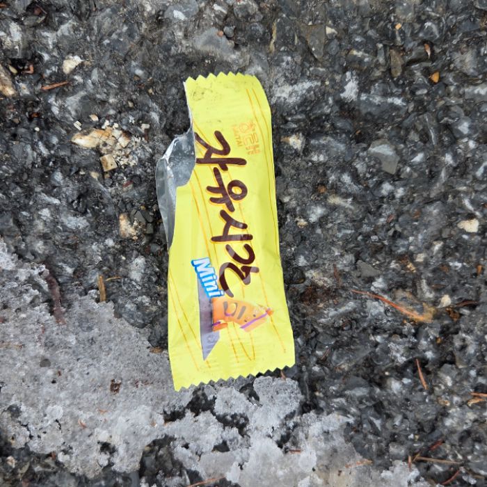  정선군.동네.쓰레기.플로깅