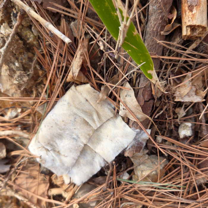  순천시.동네.쓰레기.플로깅