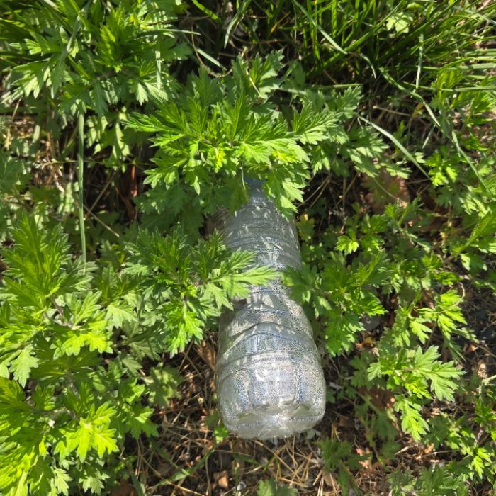  용인시.동네.쓰레기.플로깅