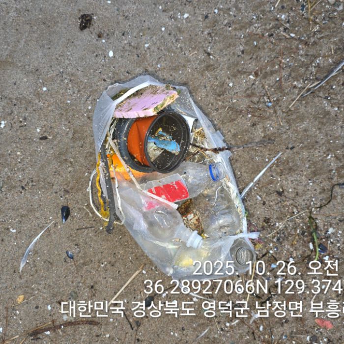  영덕군.동네.쓰레기.플로깅