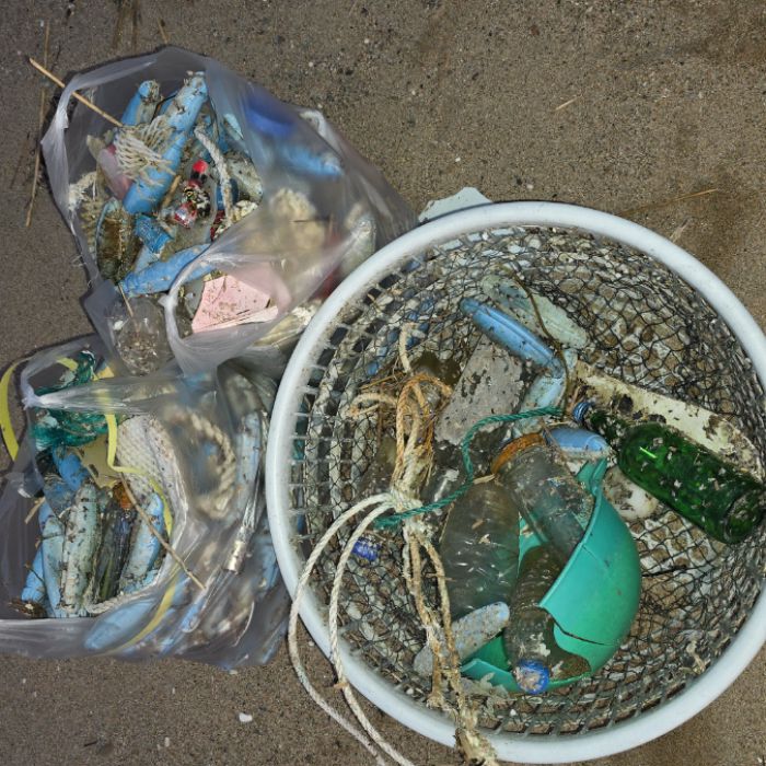  영덕군.동네.쓰레기.플로깅