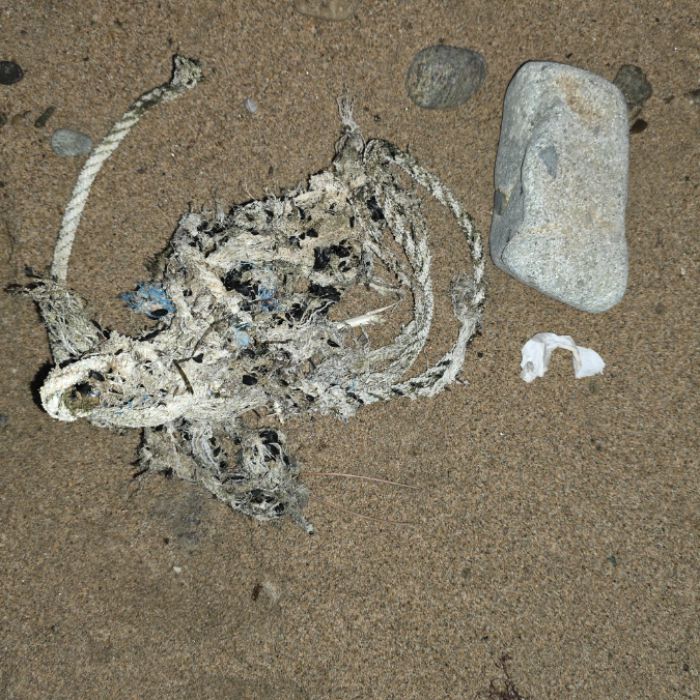  영덕군.동네.쓰레기.플로깅