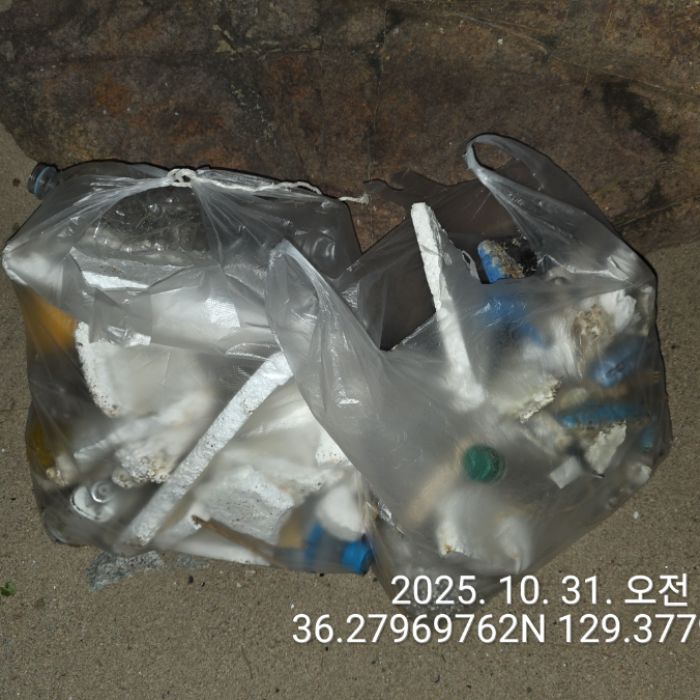  영덕군.동네.쓰레기.플로깅