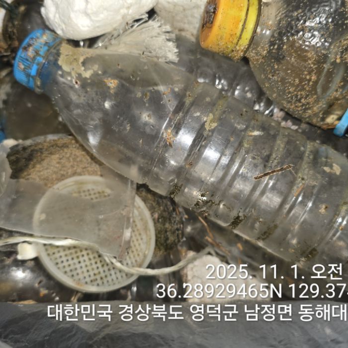  영덕군.동네.쓰레기.플로깅