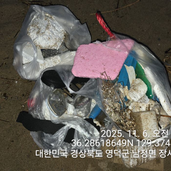  영덕군.동네.쓰레기.플로깅