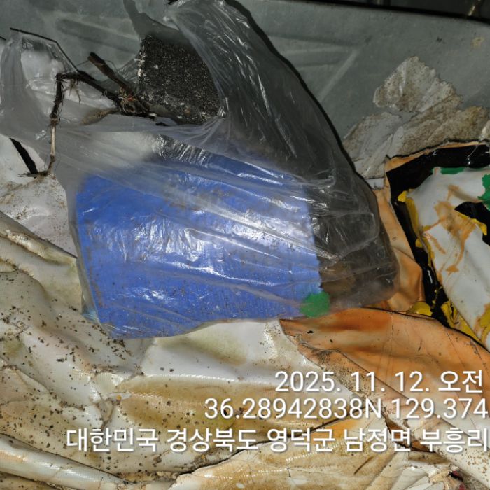  영덕군.동네.쓰레기.플로깅