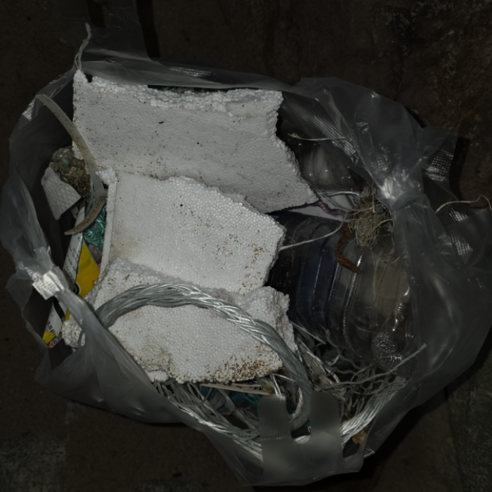  영덕군.동네.쓰레기.플로깅