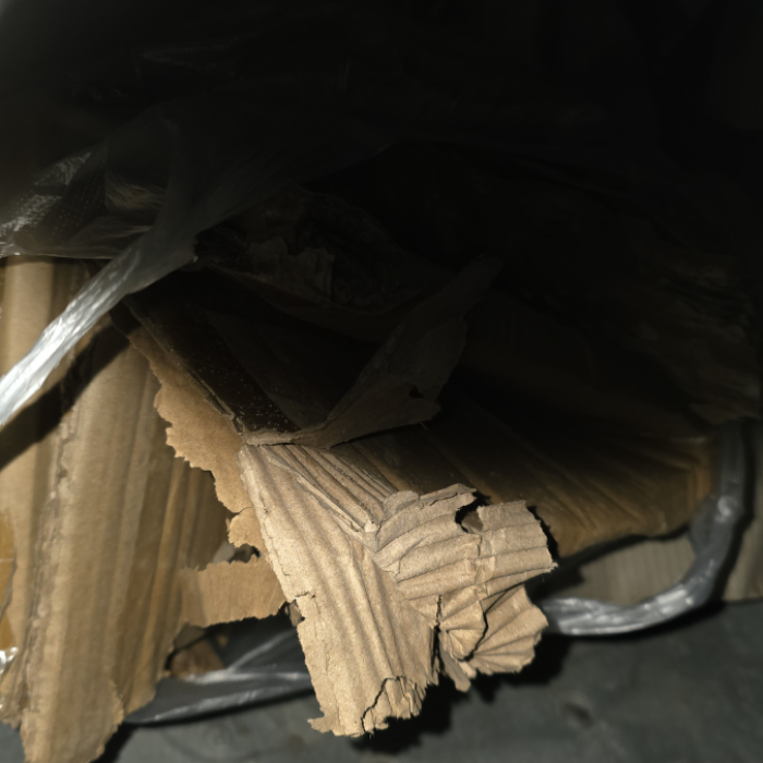  영덕군.동네.쓰레기.플로깅