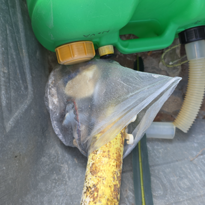  영덕군.동네.쓰레기.플로깅